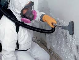 Best Mold Damage Restoration  in Inola, OK